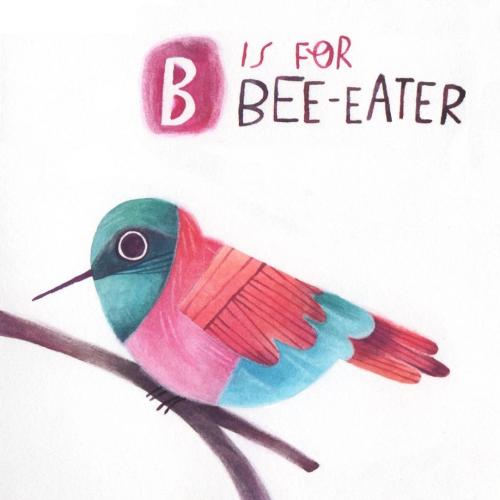A multicoloured bird for Animal Alphabets