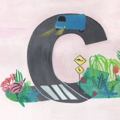In a tropical forests the cassowary and her chick are crossing a dangerous road in letter C