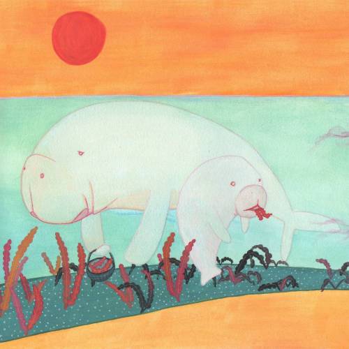 dugong and calf are gathering the scarce seagrass grown in an industrialized area