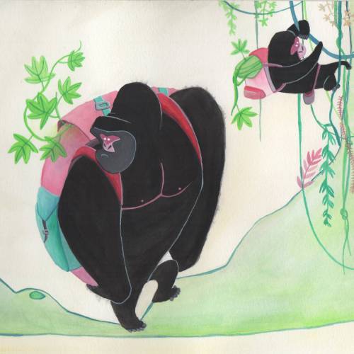 National parks to protect the African great ape