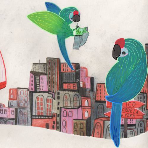 An endangered parrot by pet trade 