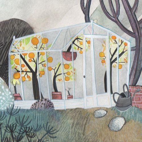 A tiny greenhouse for Colour Collective