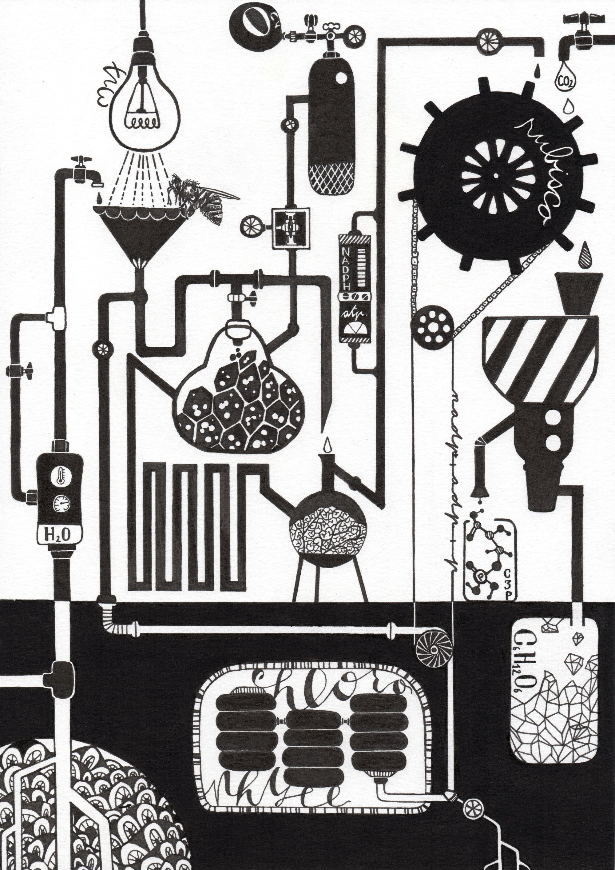Phototsynthesis Backside Chemical factory Black and white drawing show Photosynthesis in a meadow similar to Chemical factory with chemical reactions, stills and gears