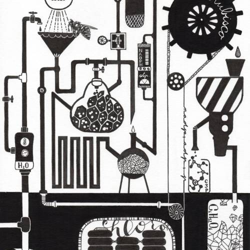 Black and white drawing show Photosynthesis in a meadow similar to Chemical factory with chemical reactions, stills and gears