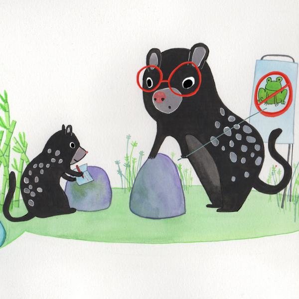 A marsupial threatened by poisonous toads